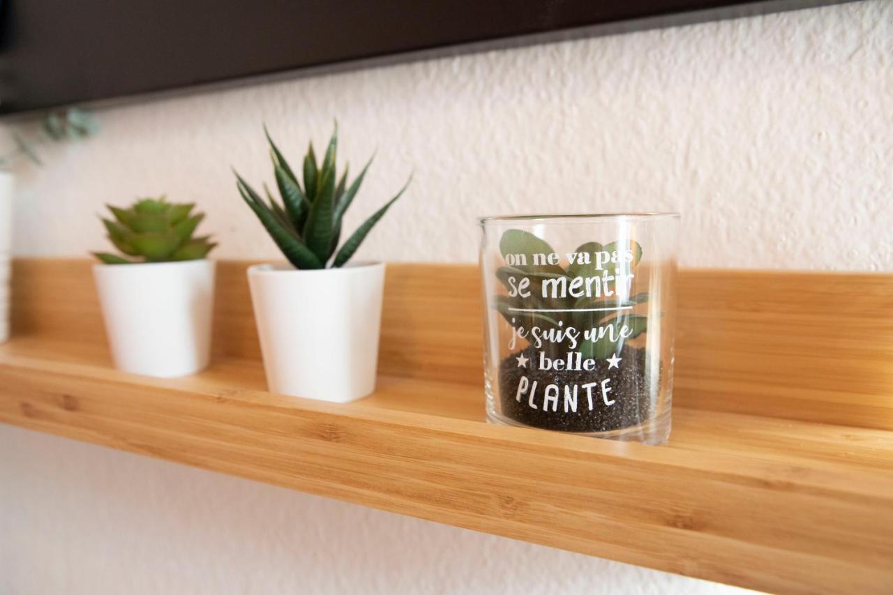 Green Appart Le Chene Rouge Avec Jardin Prive Apartment Mulhouse Ngoại thất bức ảnh