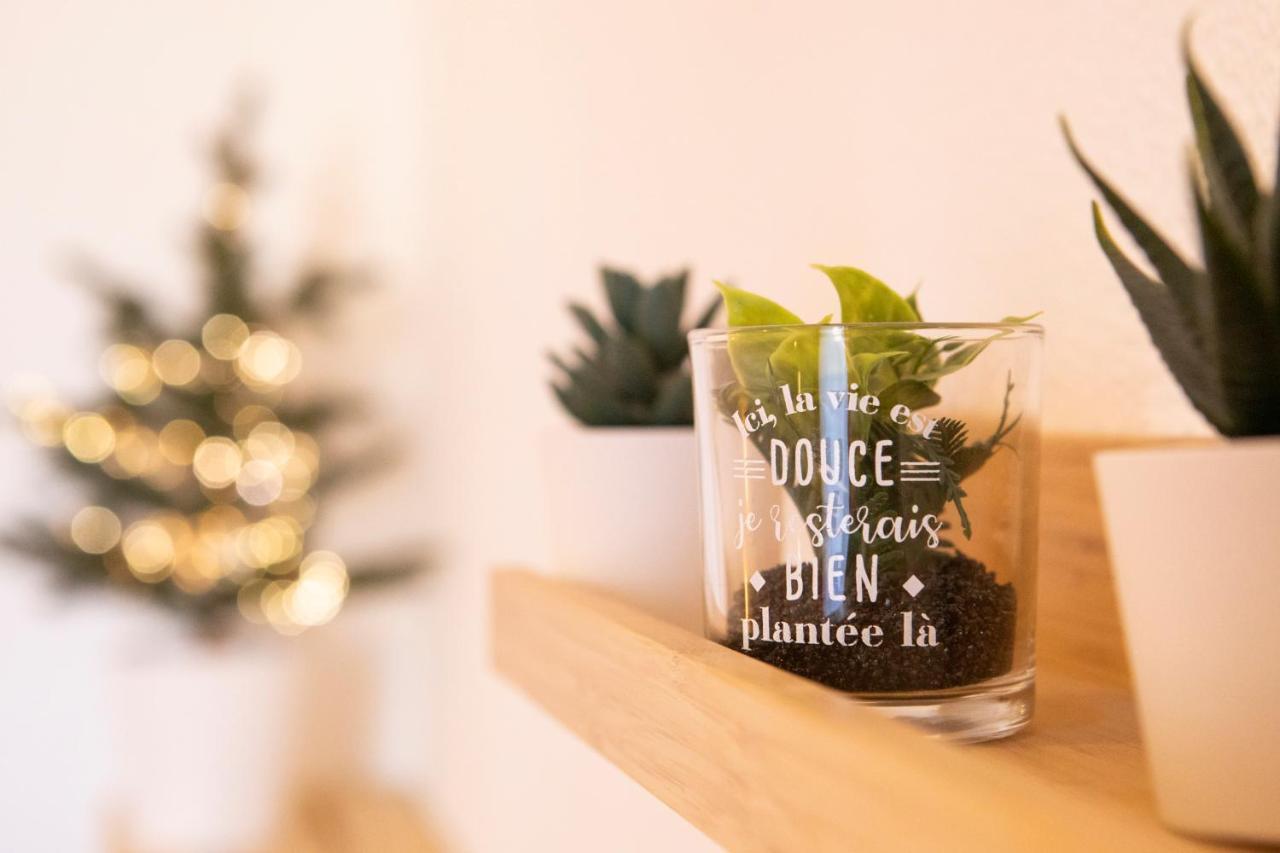 Green Appart Le Chene Rouge Avec Jardin Prive Apartment Mulhouse Ngoại thất bức ảnh